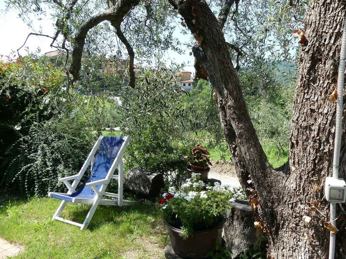 Lantgård Agriturismo La Vigna Chiusanico Italien