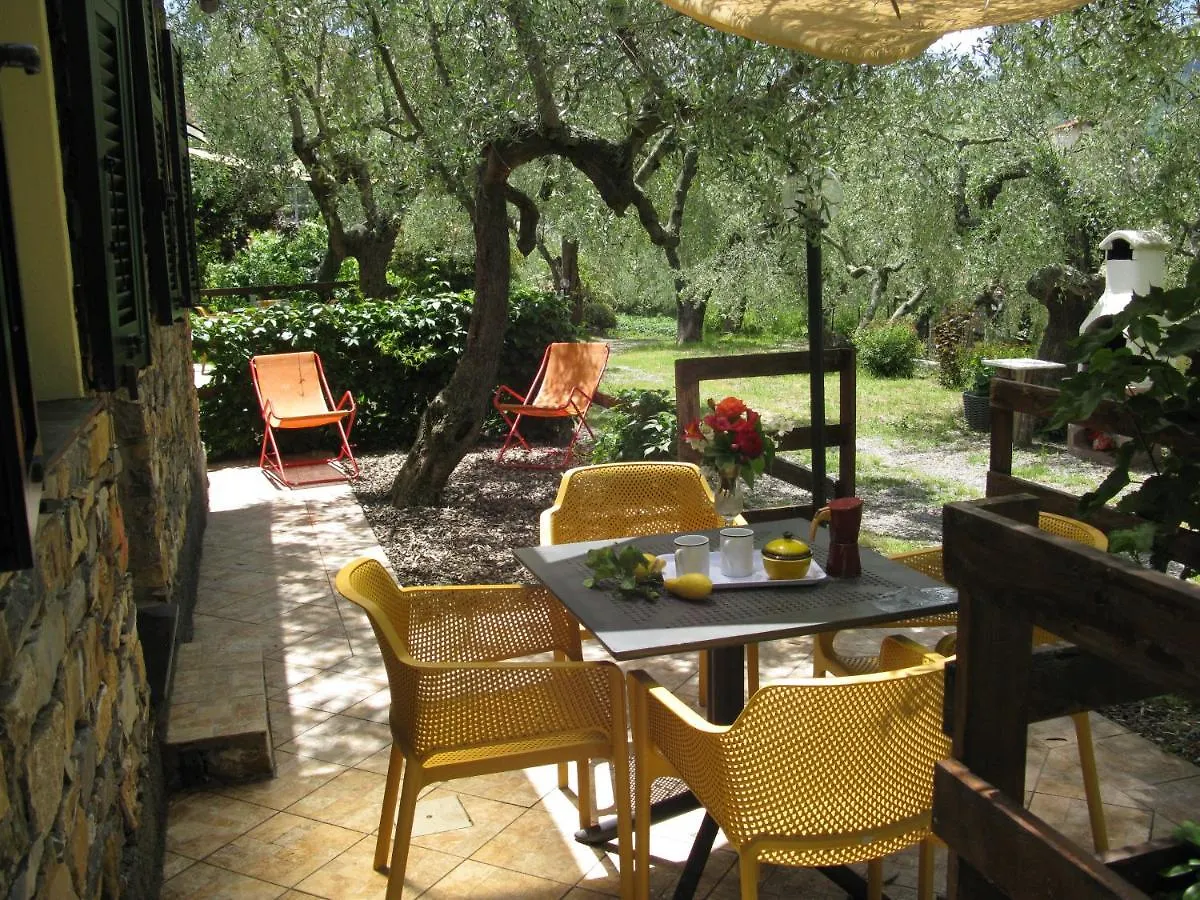 Farm stay Agriturismo La Vigna Chiusanico