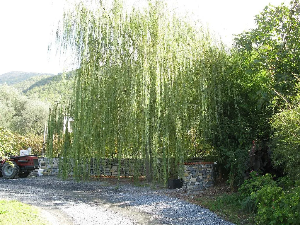 Agriturismo La Vigna Chiusanico Farm stay